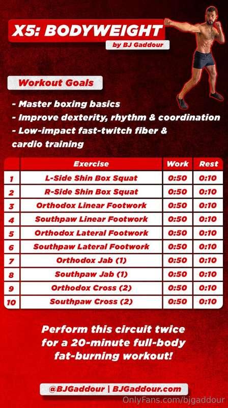 XXX5: ALL-NUDE BOXING WORKOUTWORKOUT GOALS:- Master boxing b..
