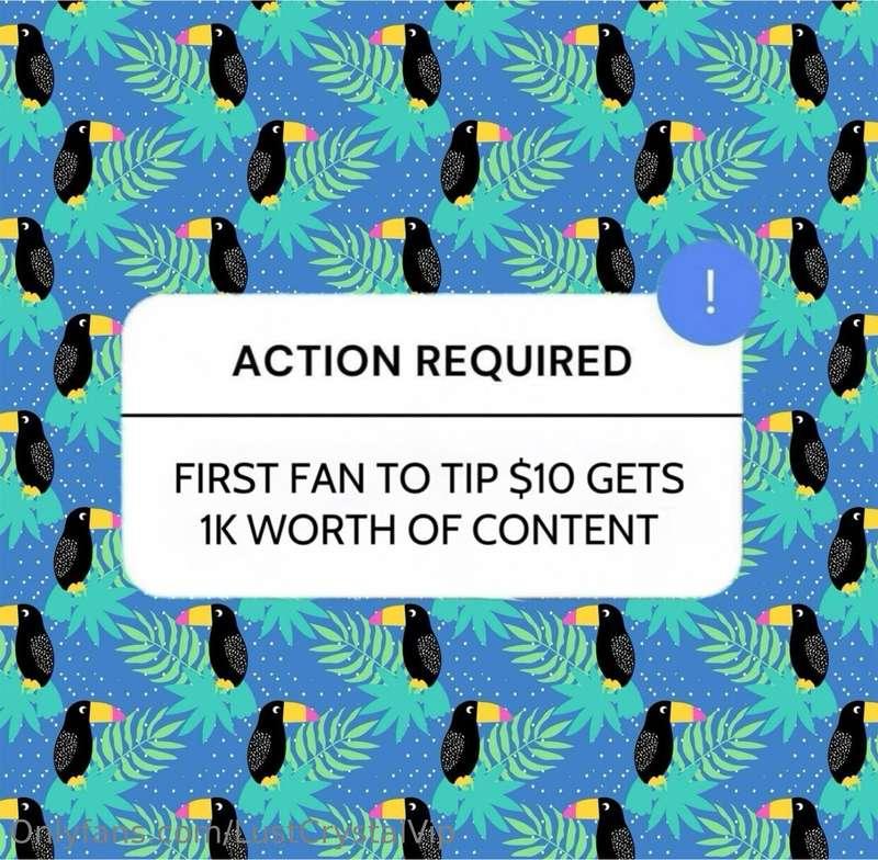 🌿 FIRST FAN ONLY 🌿