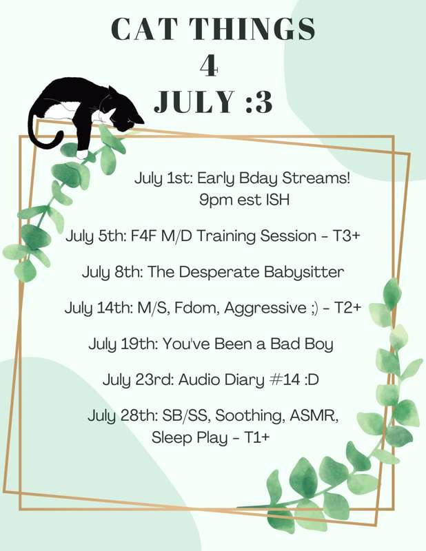 For my July Kittens :) - What to Expect! 