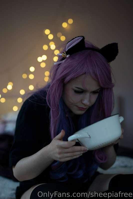 sheepiafree image #1