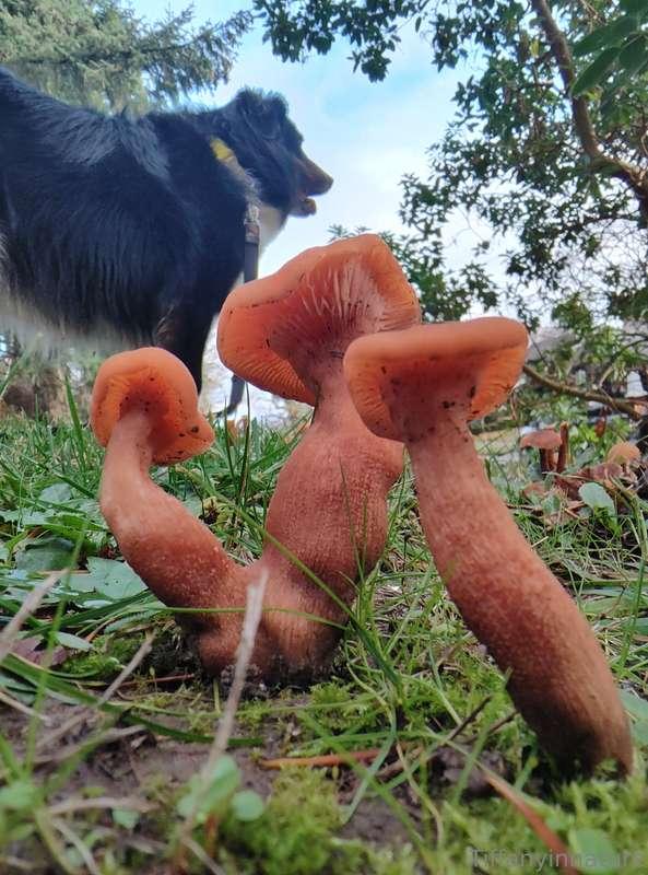 Good morning, babes♥️I'm not going to be around to answer me..