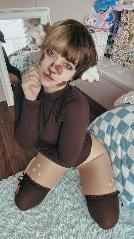 indigowhite image #134