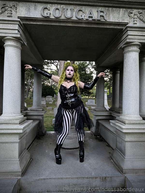 odessabordeaux image #3