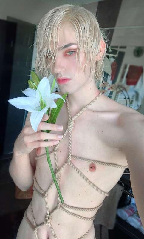 Milky Flowers - Shibari photoset of February