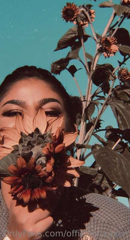 If I was a flower, which one would I be? 😉