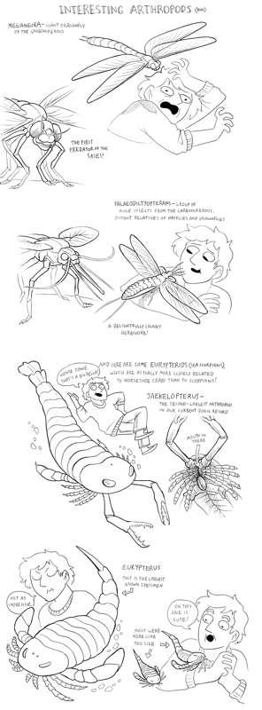 Extinct creatures-- assorted arthropods