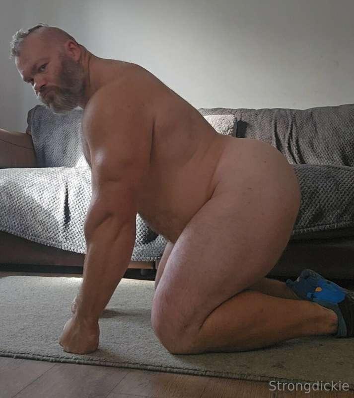 Big thick silverback 🦍 I want someone to spank my big ass an..