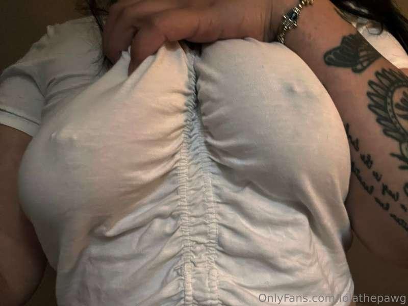 lolathepawg image #0
