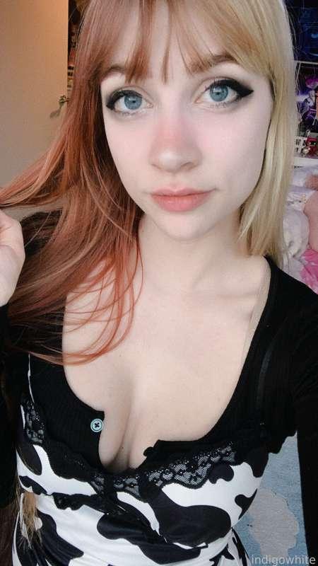 indigowhite image #91