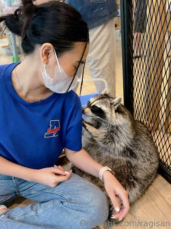 Raccoon 🦝 💙🤍