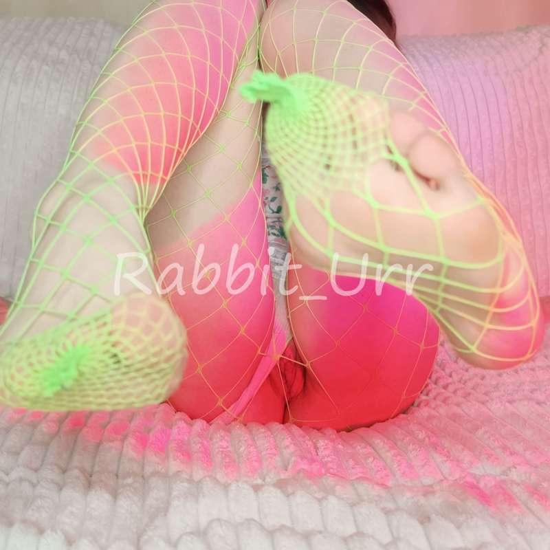rabbit_urr image #3