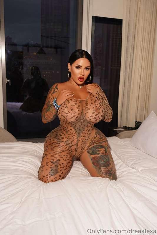 Do you like my Dame in Grr 🐯 Lingerie ? 