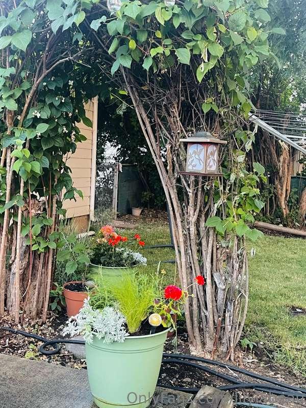 Pretty plants to start your week right 🪴