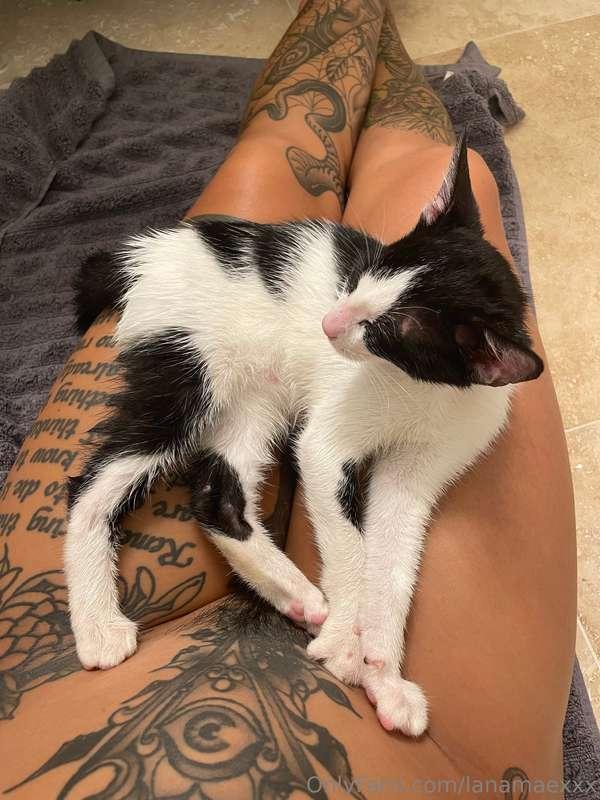 Yesterday, an unexpected little surprise came in the form of..
