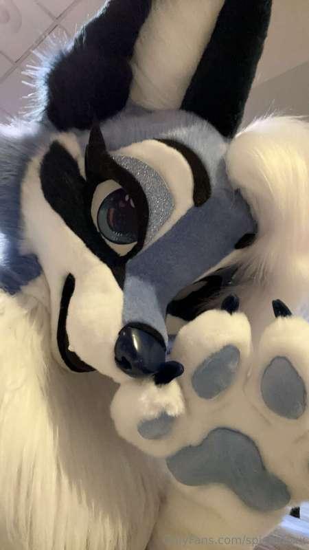 I'm not dead btw!! I'm at FWA 🥰 My suit is finally here!!