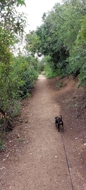 eli_hunter88 image #1