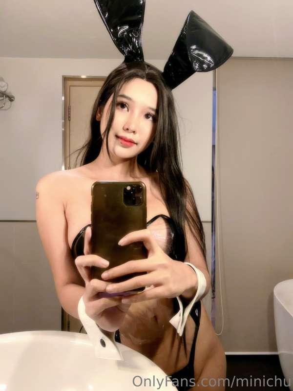 minichu image #6