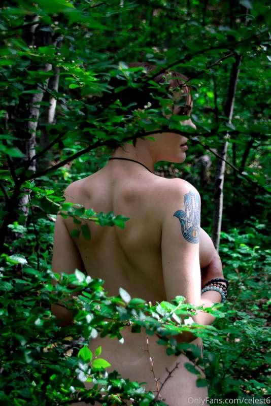 You find me in the woods, whatcha doin?