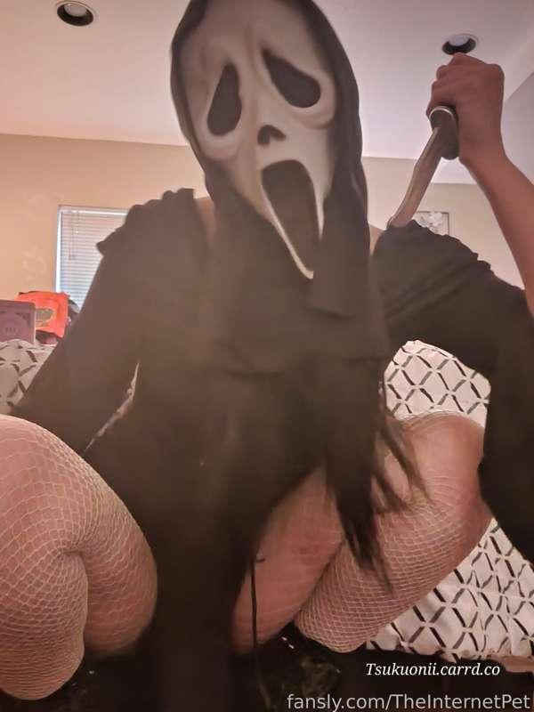 theinternetpet image #2