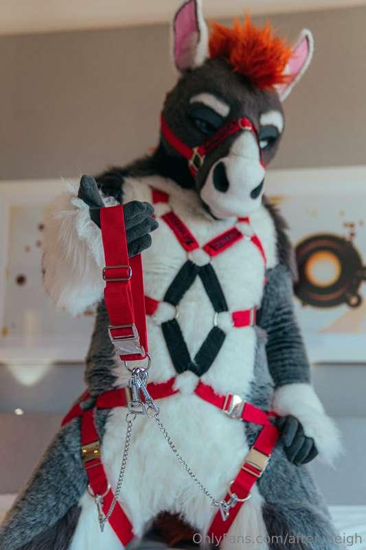 time to see who can be a good boy 😈 ⛓️

📸 TraxAd