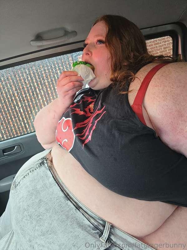 fatgingerbunny image #0