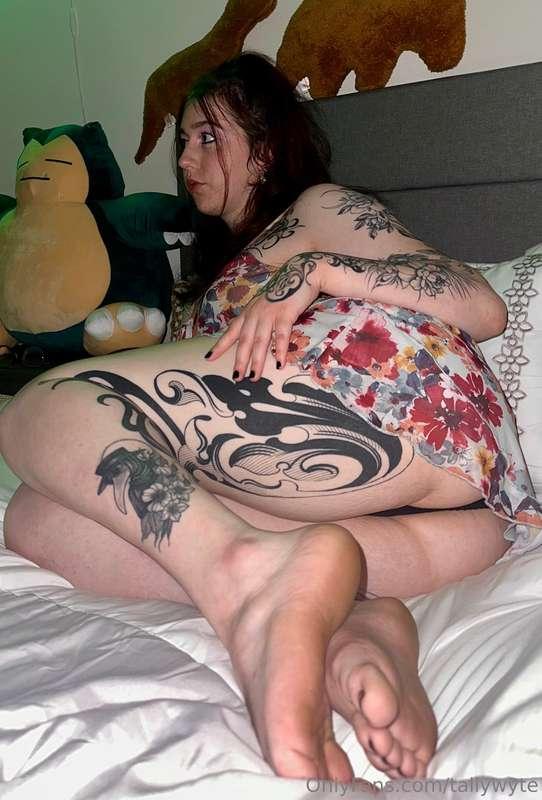 tallywyte image #11