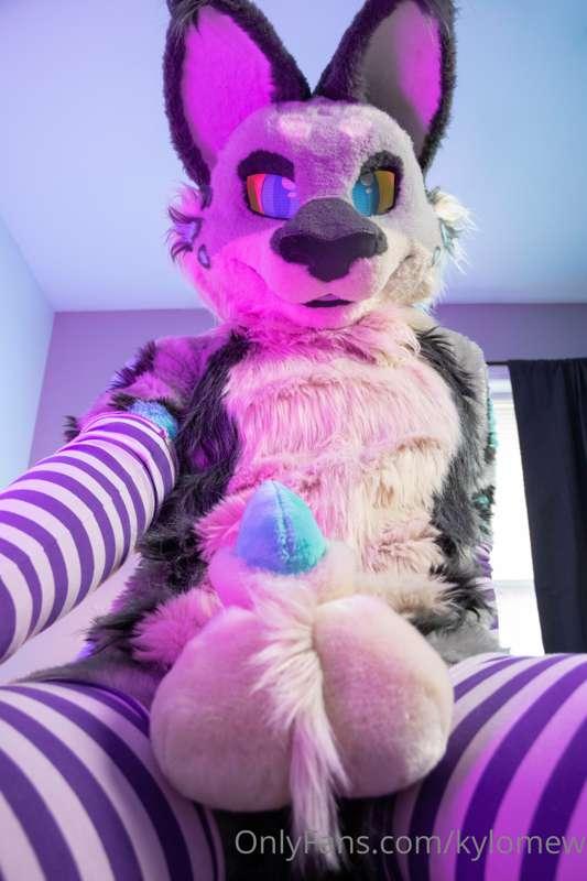why dont you put that muzzle to good use~