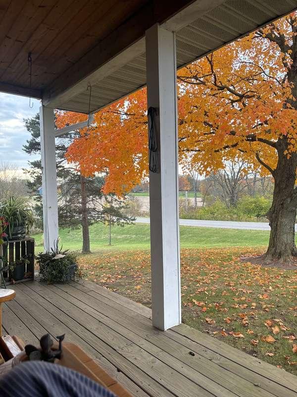 love the fall 🍁 