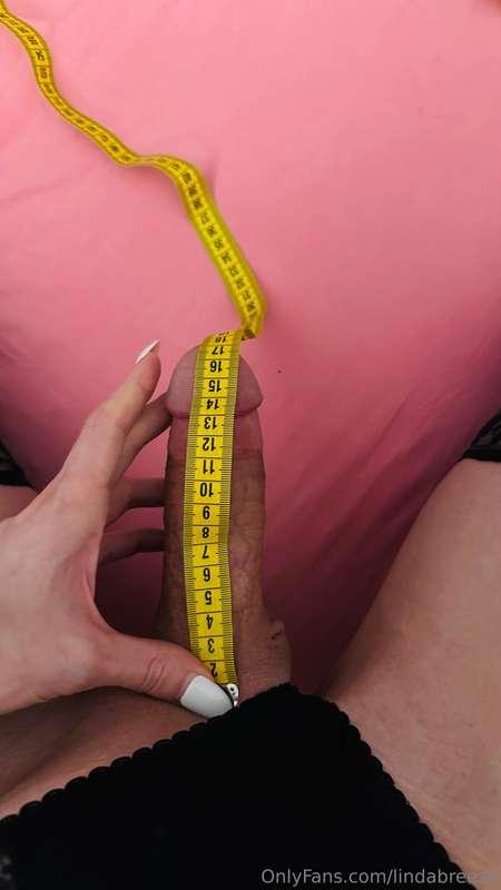 lindabreeze image #0