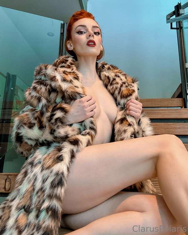 claruspolaris image #1