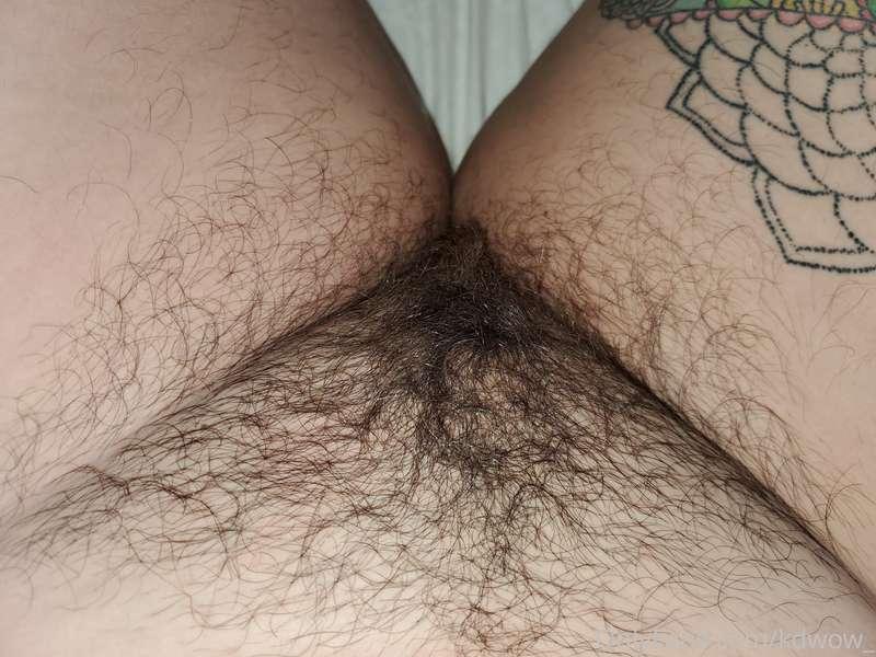 Bush to brighten your day 😚