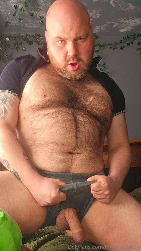 mrpocketbear image #8