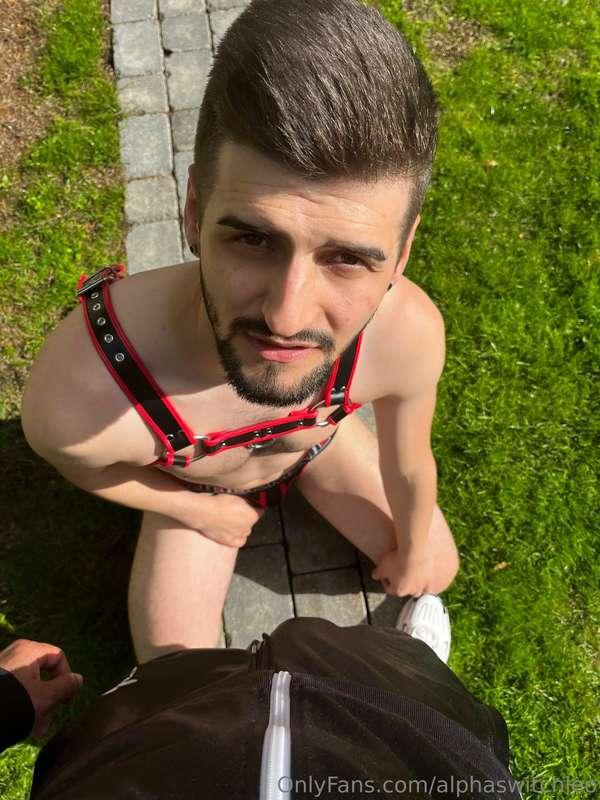 alphaswitchleo image #1