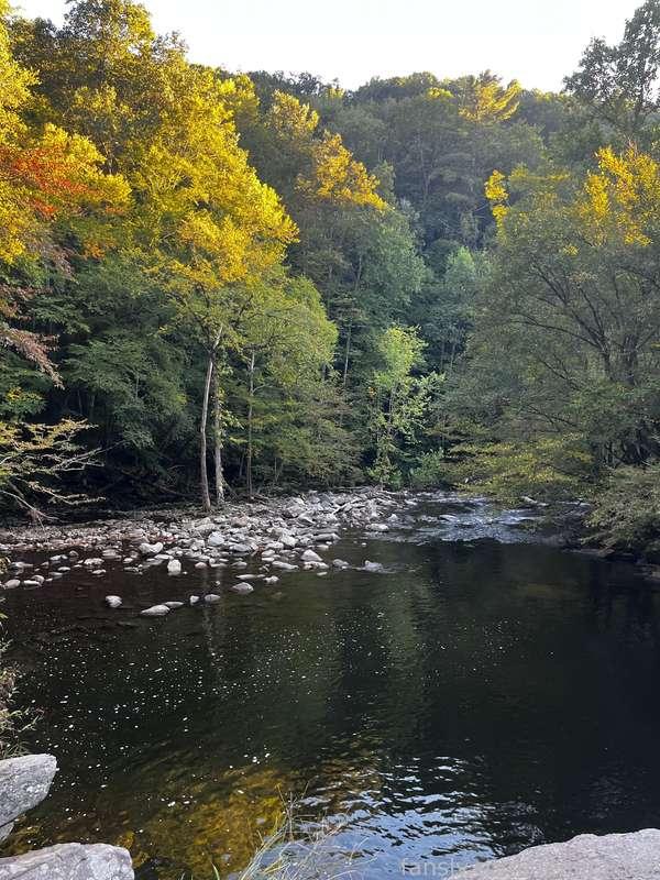 deadpixies image #10