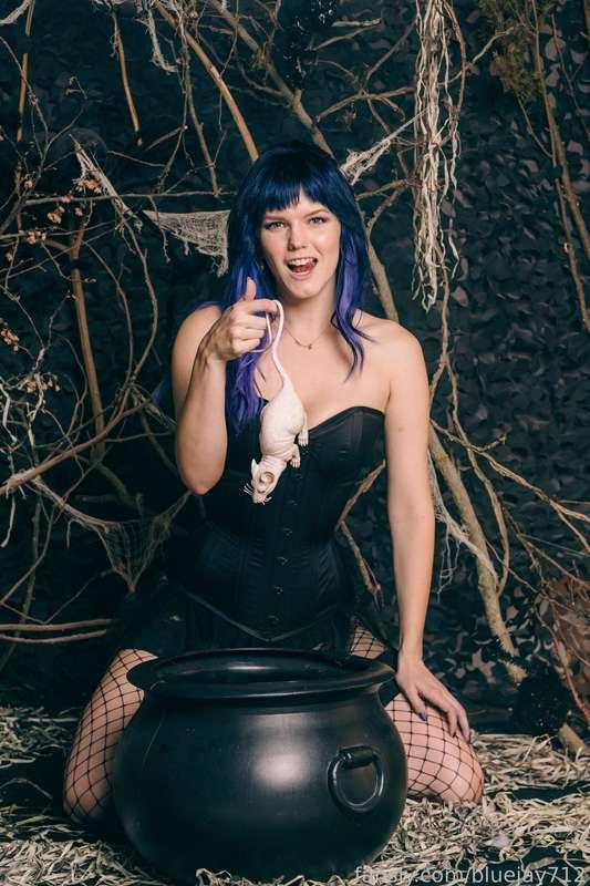 bluejay712 image #14