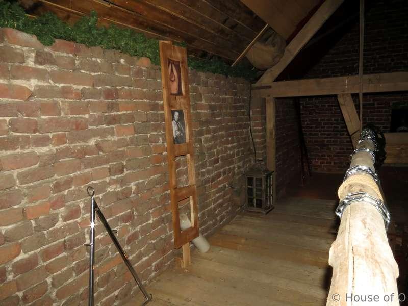 house_of_o main image