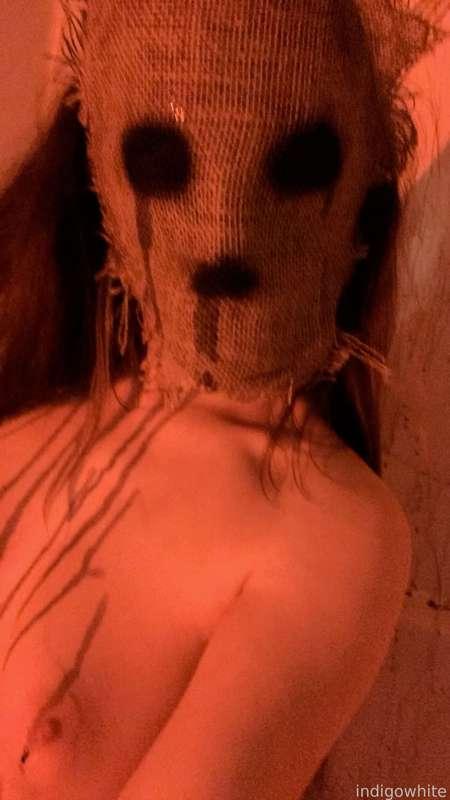 indigowhite image #16