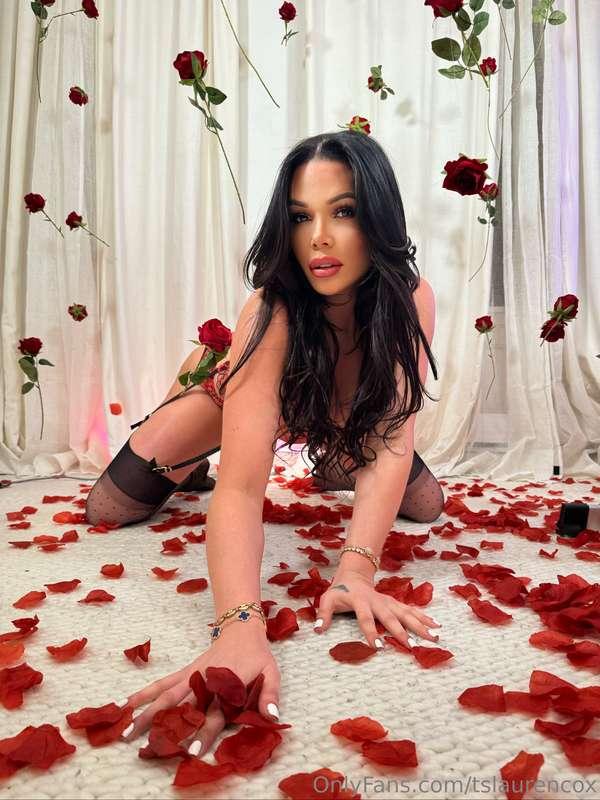 🌹❤️❤️🌹
