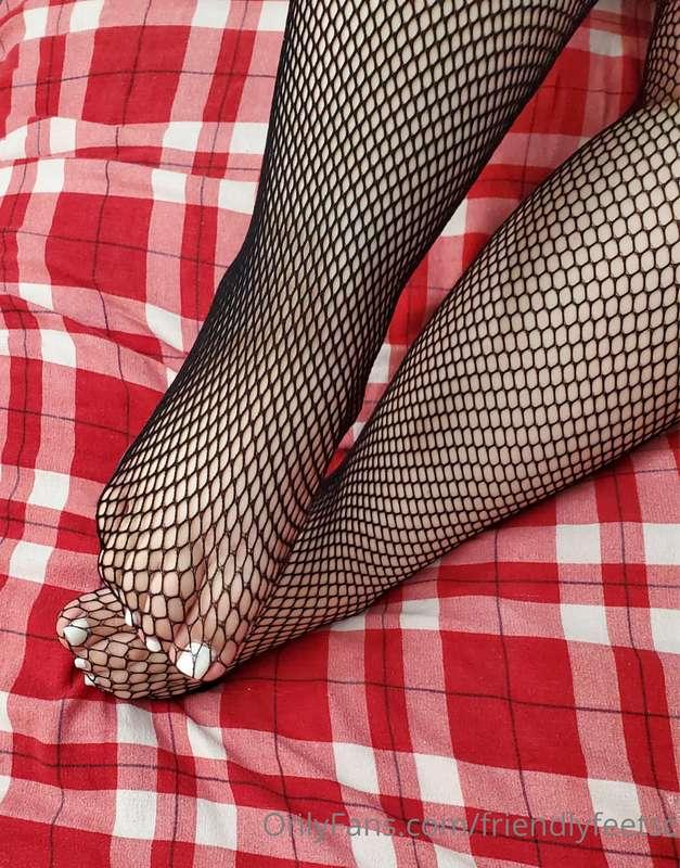 friendlyfeetsc image #5