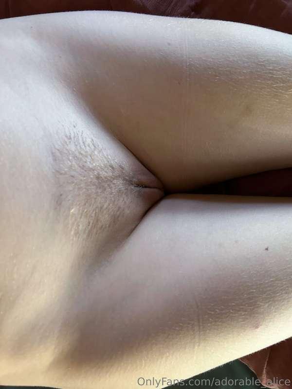 I have to say genitals are quite funny looking :)
