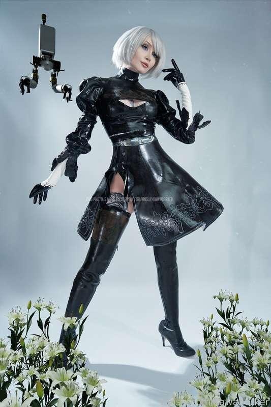 kawabarker image #3