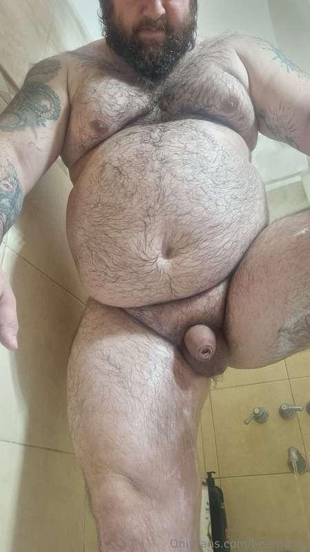 bearpamp image #0