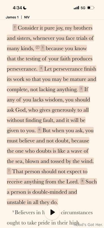 Perseverance 🕊️