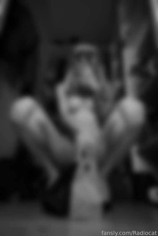 radiocat image #13
