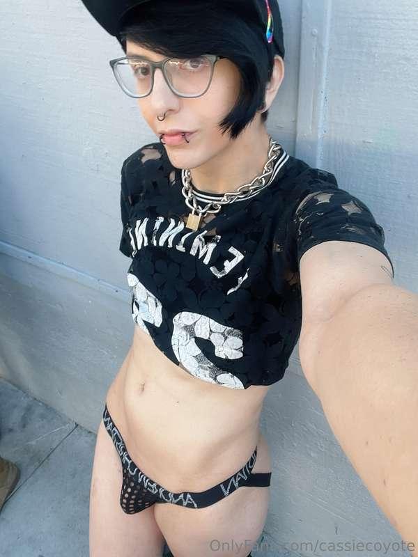 cassiecoyote image #4