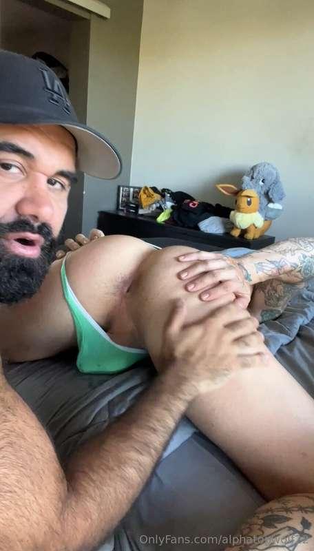 alphatopwolf22 image #5