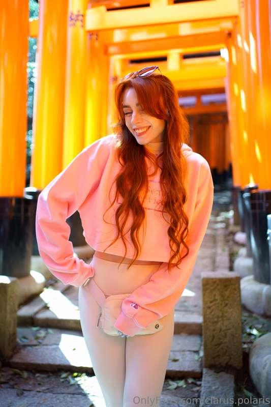 clarus.polaris image #0