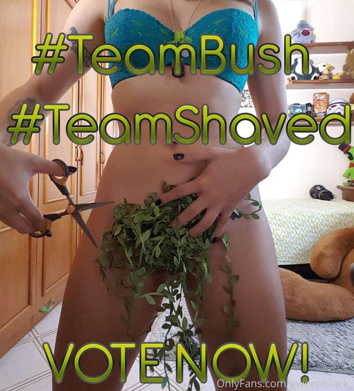 🌳 Are you Team Bush or Team Shaved? ✂️ Everyone that VOTES O..