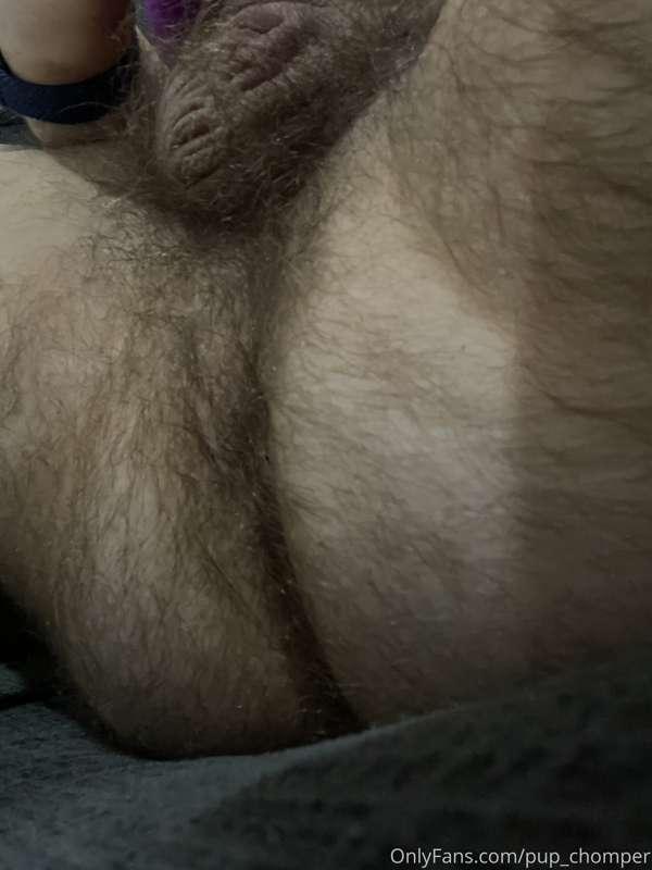 A pretty rare close-up of my ass. Who wants to get their fac..