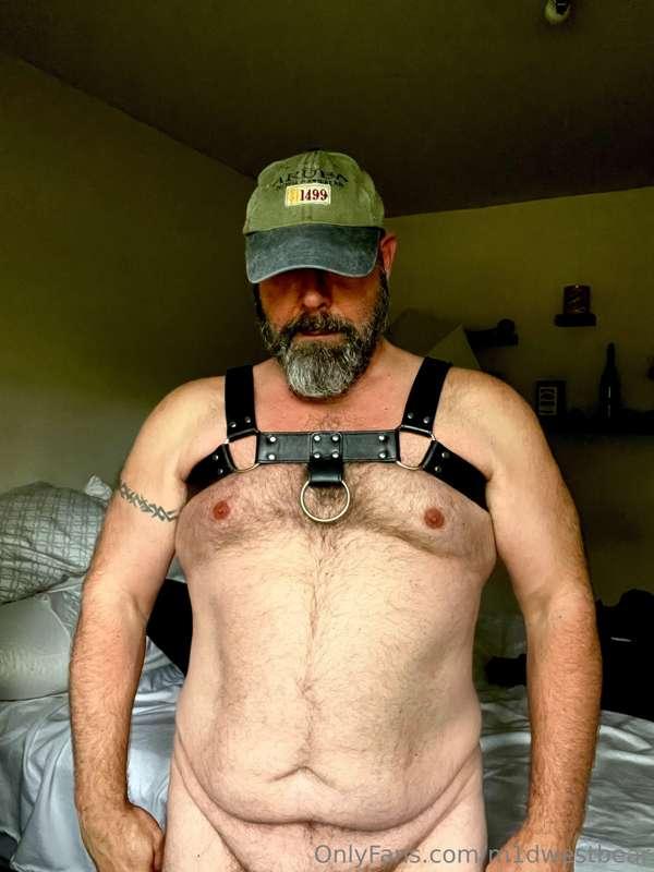 Had a want to put on the harness this morning